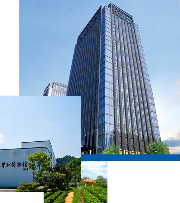 豪利777(中国)英超切尔西官方相助同伴