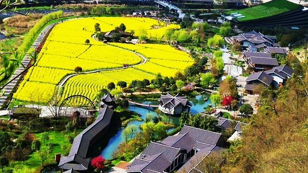 豪利777(中国)英超切尔西官方相助同伴