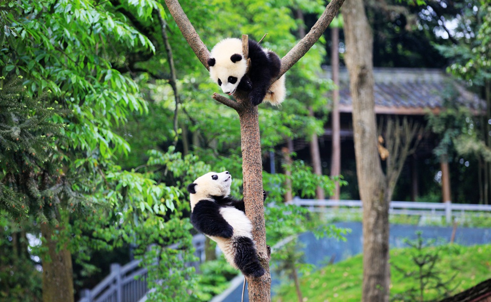 豪利777(中国)英超切尔西官方相助同伴