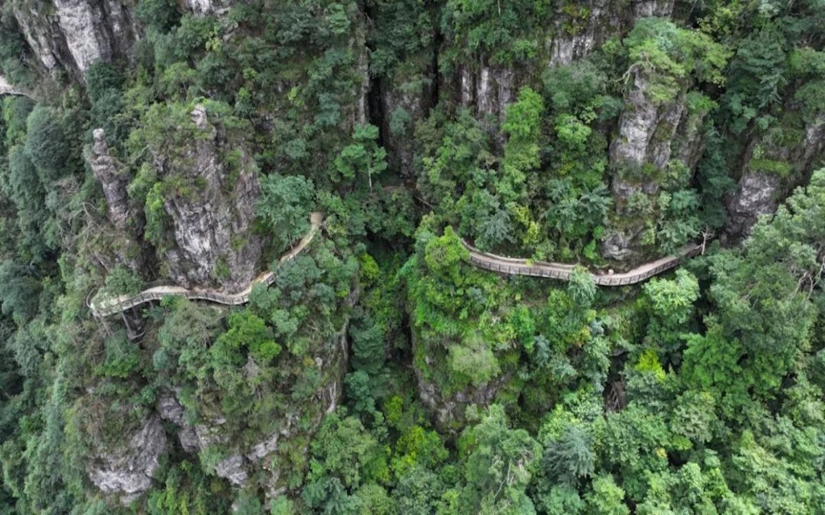 豪利777(中国)英超切尔西官方相助同伴